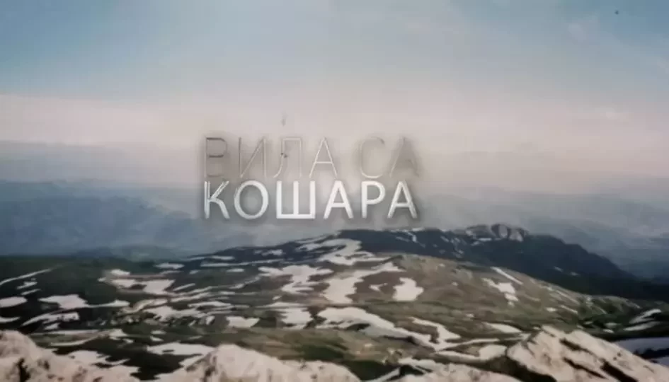 You are currently viewing Премијера спота „Вила са Кошара“